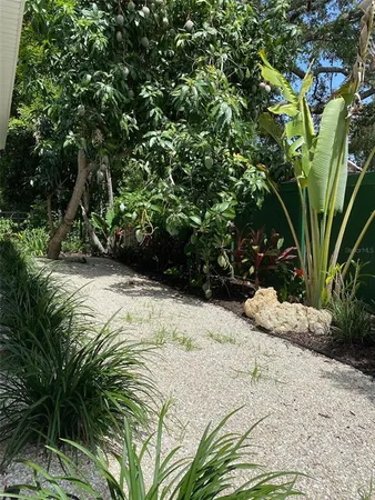 a view of a garden with plants