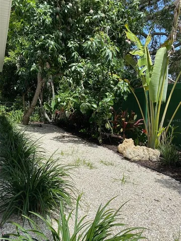 a view of a garden with plants