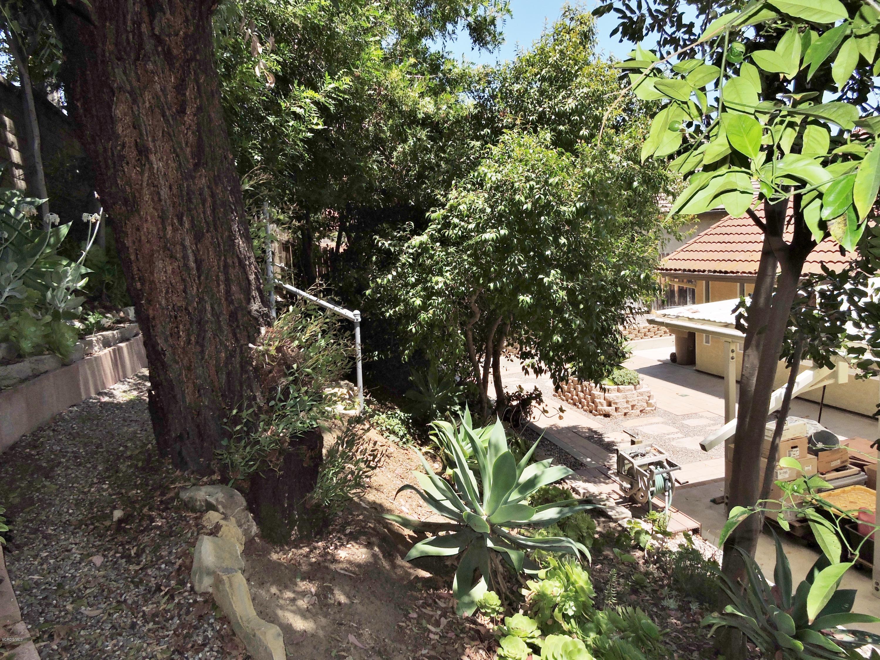 1997 Old Ranch Road Camarillo, CA 93012 - Photo 22 of 31 a backyard of a house with lots of green space