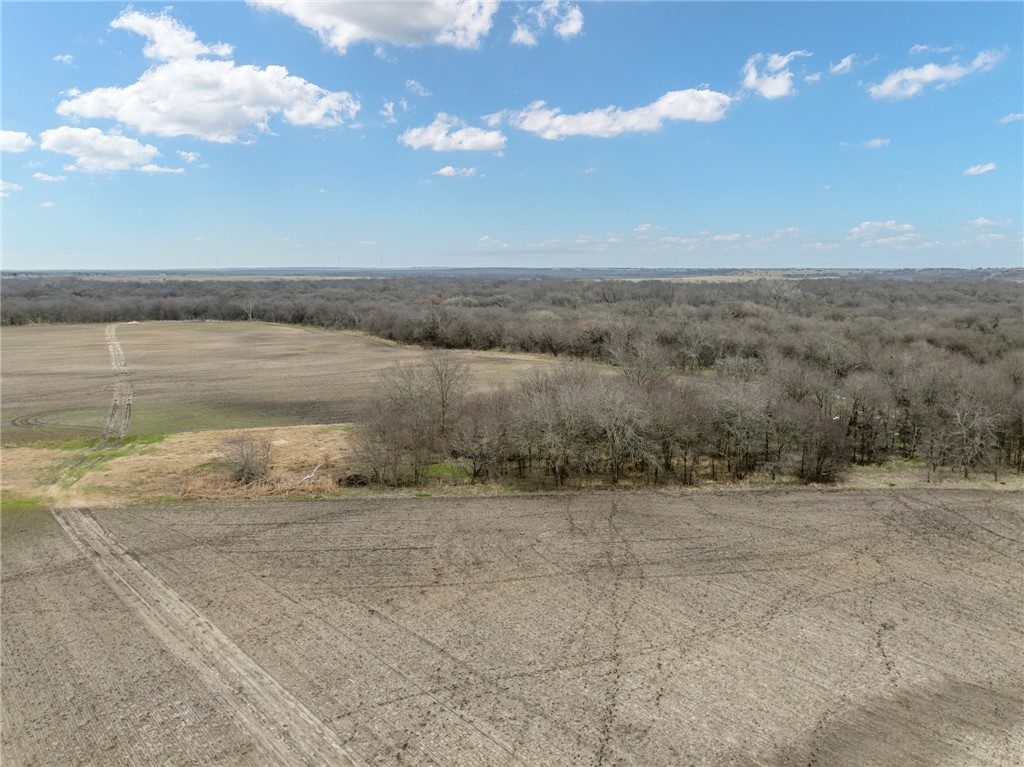 Tbd Casey Road West, TX 76691 - Photo 3 of 13