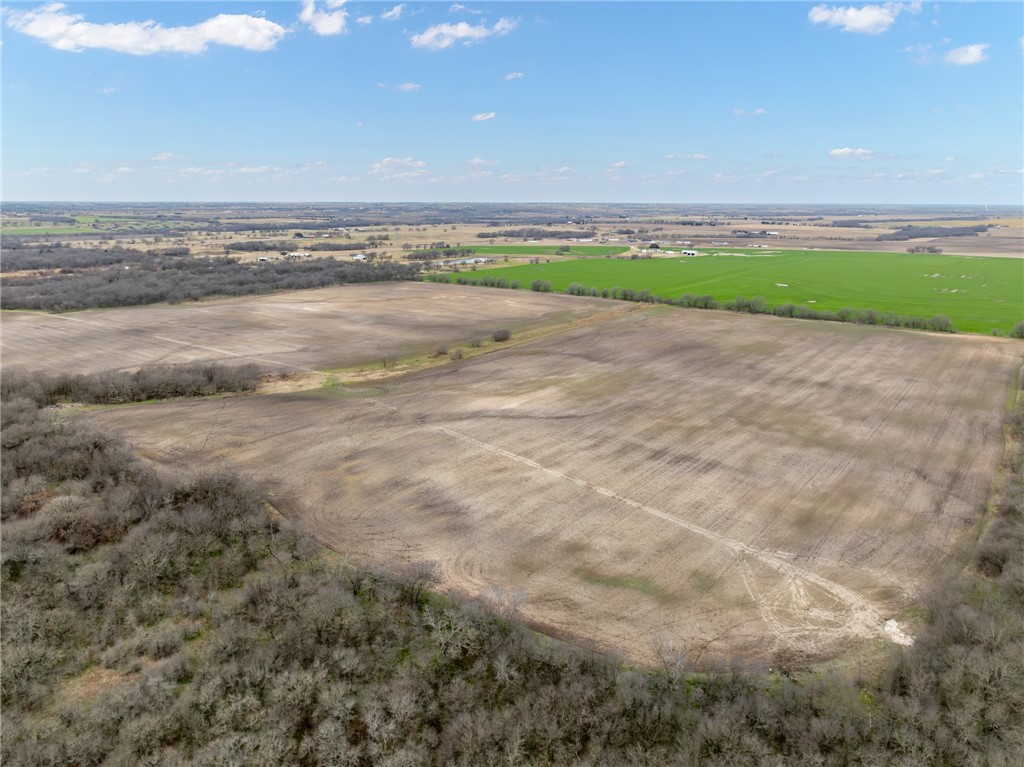 Tbd Casey Road West, TX 76691 - Photo 4 of 13