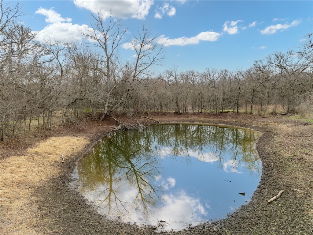 Tbd Casey Road West, TX 76691 - Photo 6 of 13