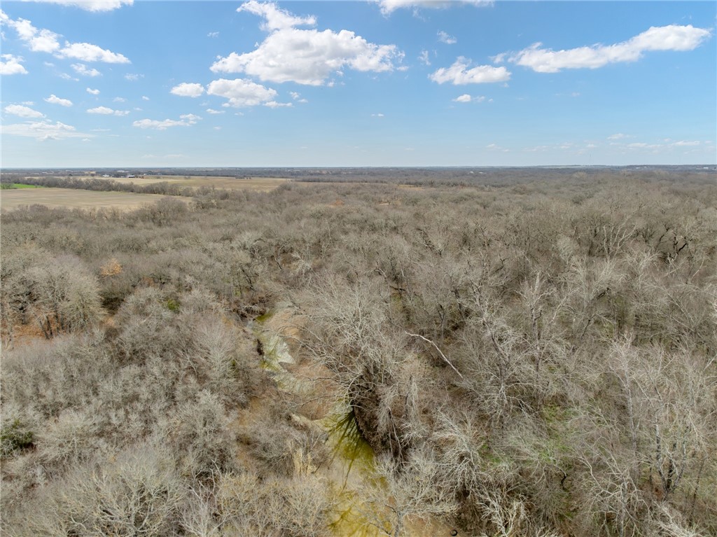 Tbd Casey Road West, TX 76691 - Photo 10 of 13