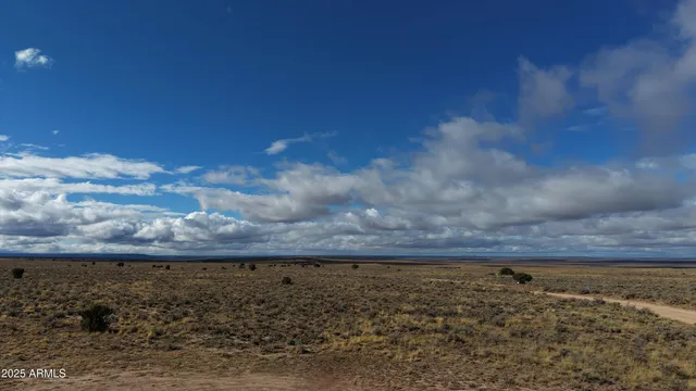 a view of a dry yard with wooden floor