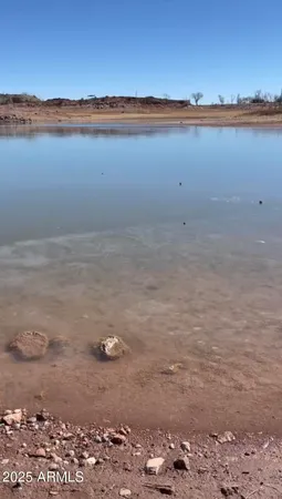 a view of a dry yard with wooden floor