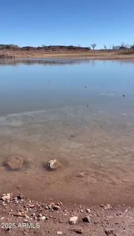 a view of a dry yard with wooden floor