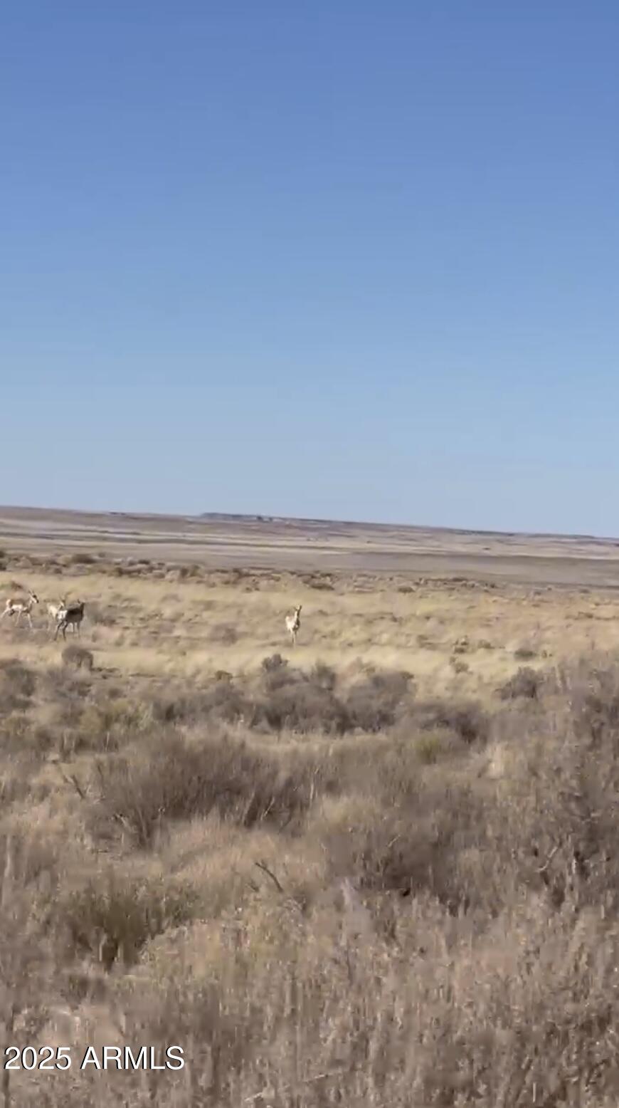 37 River Meadow Ranch, Unit 37 St. Johns, AZ 85936 - Photo 8 of 12 a view of an ocean
