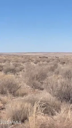 a view of an ocean beach
