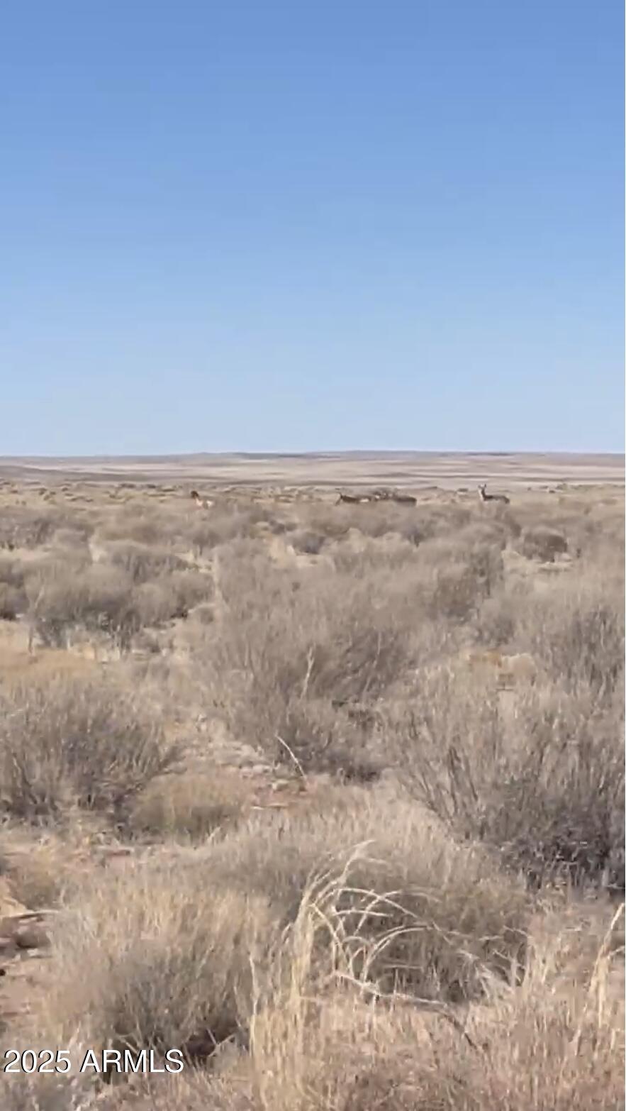 37 River Meadow Ranch, Unit 37 St. Johns, AZ 85936 - Photo 9 of 12 a view of beach and wooden floor