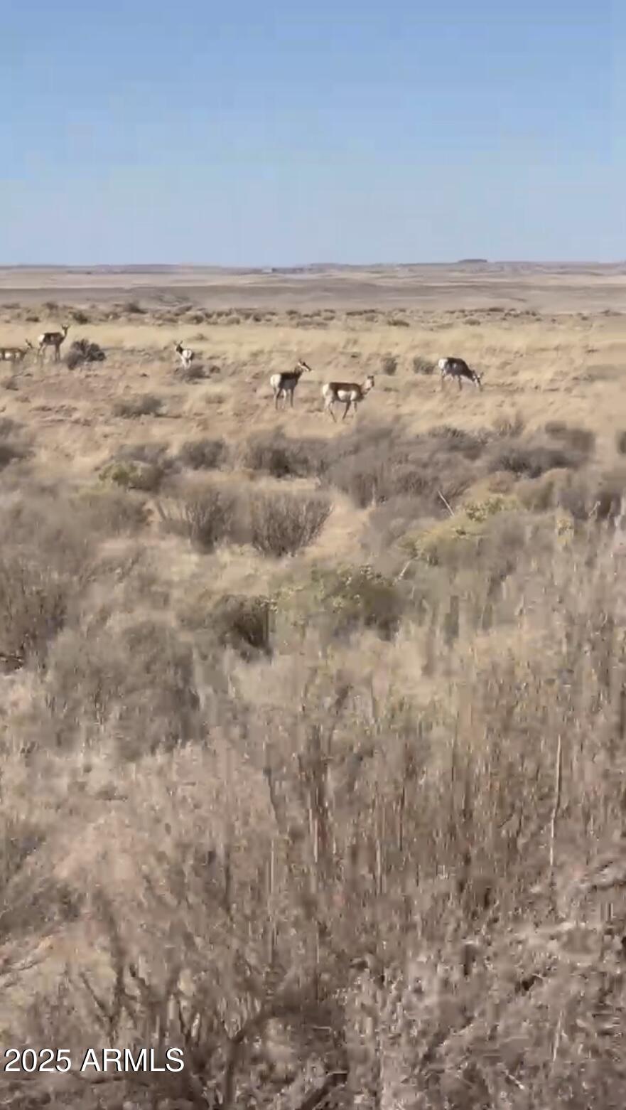 37 River Meadow Ranch, Unit 37 St. Johns, AZ 85936 - Photo 10 of 12 a view of an ocean