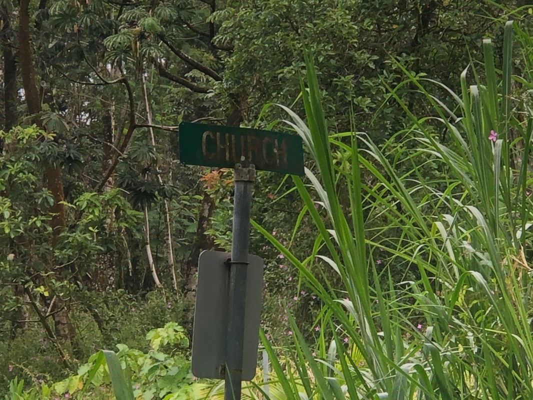 755 Church Road Pahoa, HI 96778 - Photo 4 of 6 Gallery Image 4