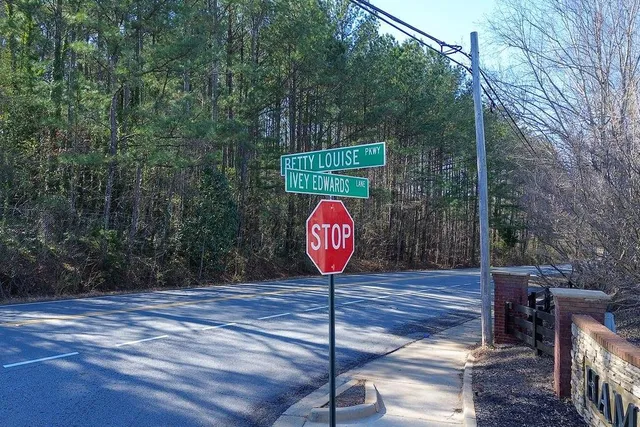 $299,000 | 544 Overo Drive, McDonough, GA 30253