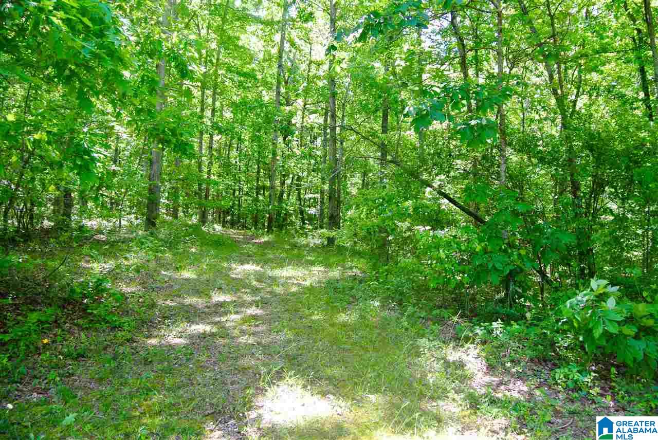 Lot 2 Brookview Lane, Unit 2 Helena, AL 35080 - Photo 11 of 13