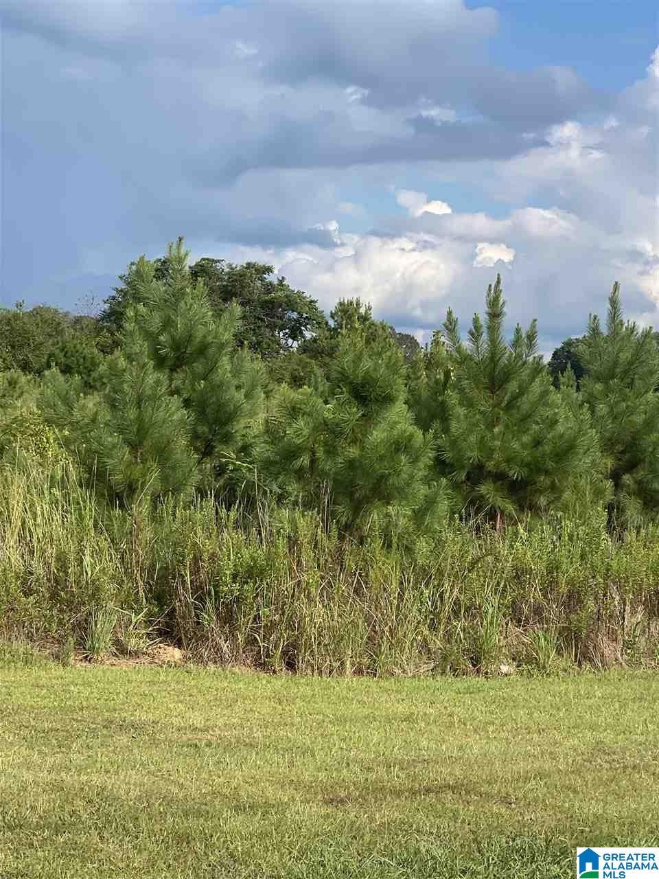 Corner School Road Warrior, AL 35180 - Photo 5 of 11