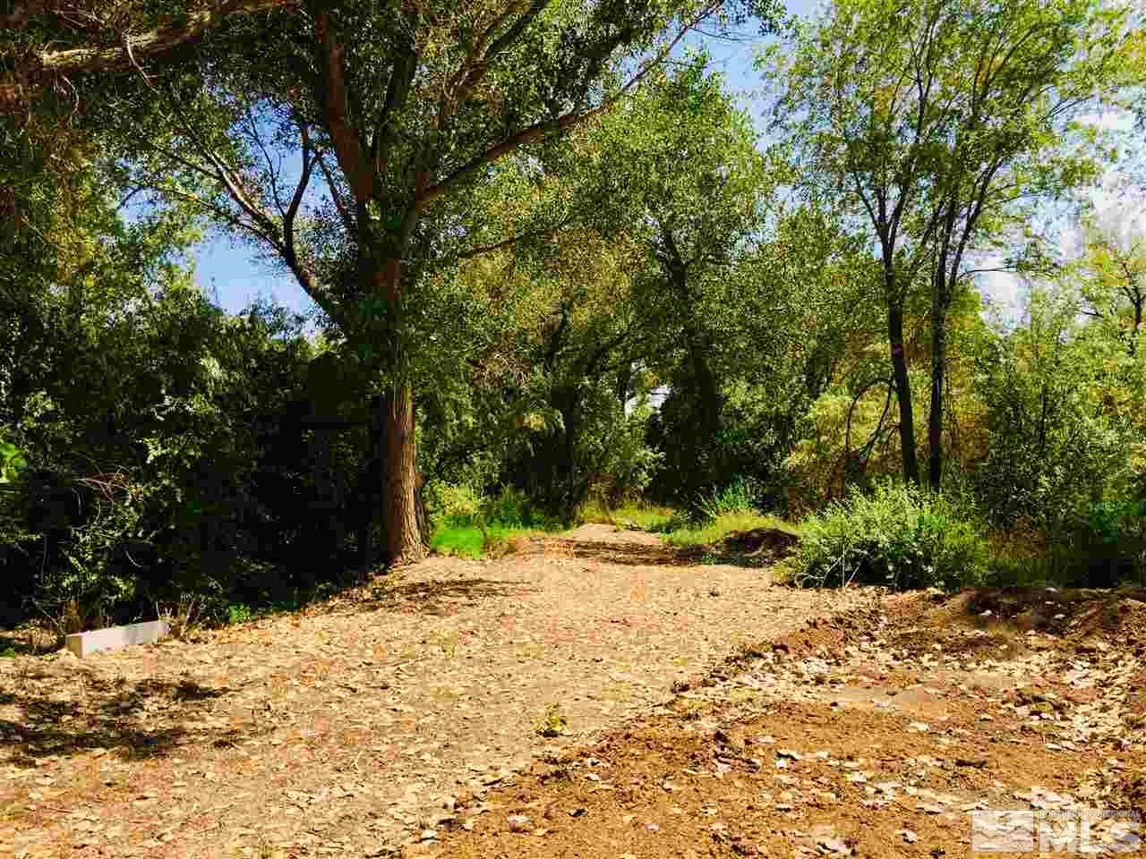 2277 Soda Lake Road Fallon, NV 89406 - Photo 24 of 25 a view of a yard with plants and trees