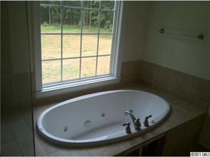 161 Rushing Water Lane Troutman, NC 28166 - Photo 4 of 14 a bath tub sitting in a bathroom next to a window