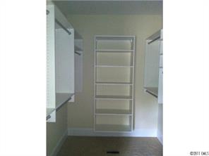 161 Rushing Water Lane Troutman, NC 28166 - Photo 10 of 14 a view of walk in closet with empty racks