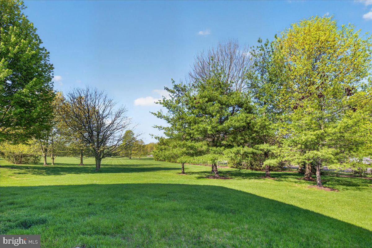 19 Foster Road Pennington, NJ 08534 - Photo 31 of 33