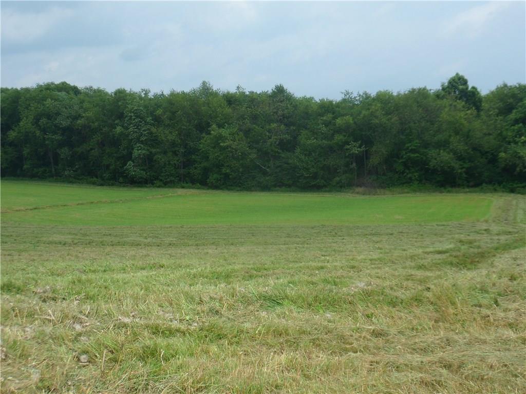 1249 School Road Avonmore, PA 15618 - Photo 5 of 15