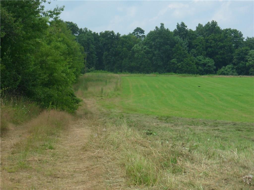 1249 School Road Avonmore, PA 15618 - Photo 8 of 15