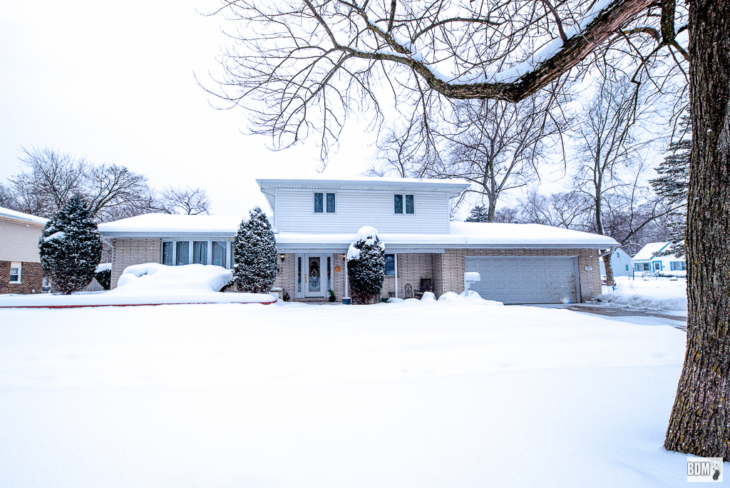 4255 149th Street Midlothian, IL 60445 - Photo 2 of 51