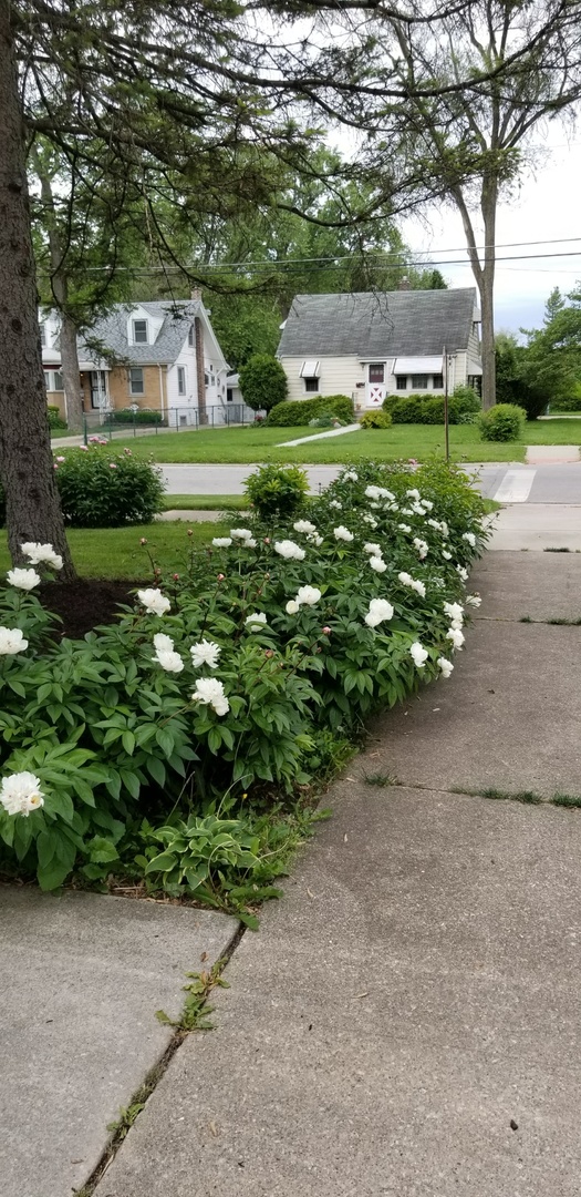 4255 149th Street Midlothian, IL 60445 - Photo 42 of 51