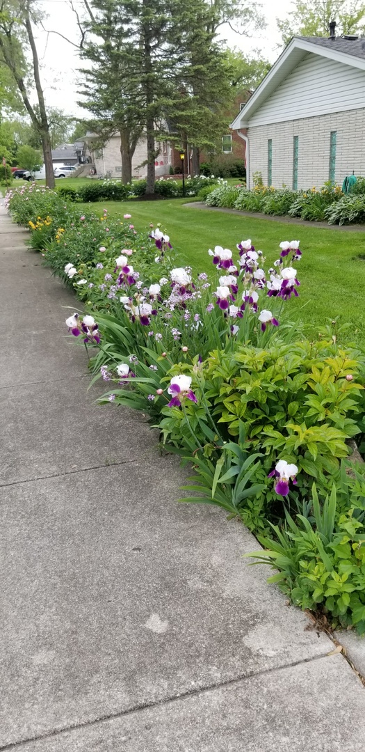 4255 149th Street Midlothian, IL 60445 - Photo 43 of 51