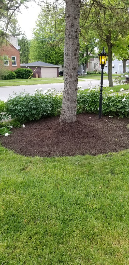 4255 149th Street Midlothian, IL 60445 - Photo 44 of 51