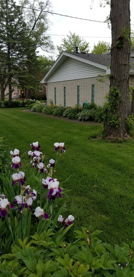 4255 149th Street Midlothian, IL 60445 - Photo 48 of 51