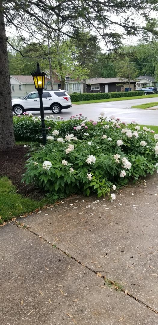 4255 149th Street Midlothian, IL 60445 - Photo 50 of 51