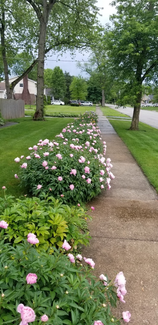 4255 149th Street Midlothian, IL 60445 - Photo 51 of 51