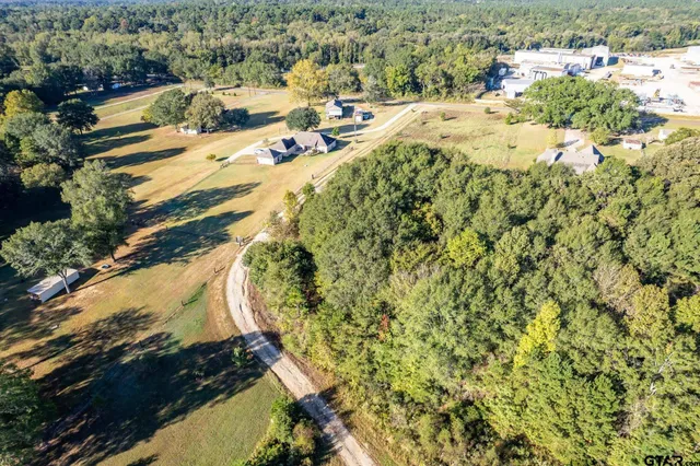 a view of a bunch of trees and bushes