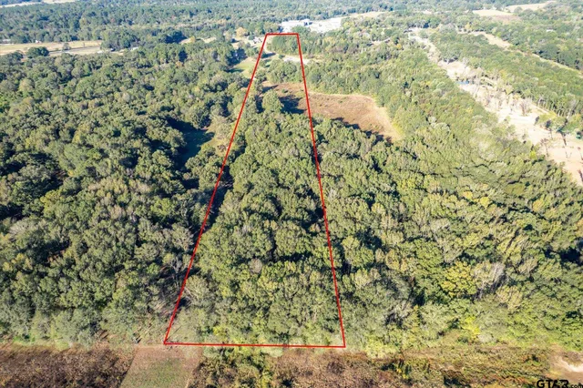 $149,000 | 21289 County Road 2138, Troup, TX 75789