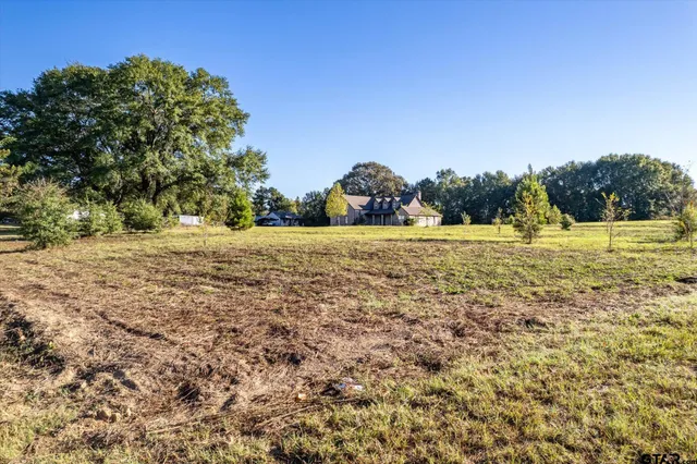 a view of a yard with a tree