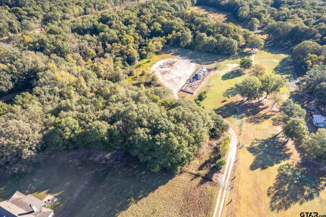 a view of tree covered with snow