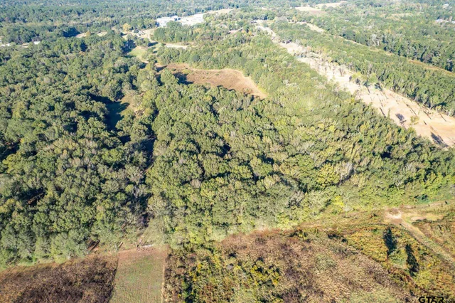 a view of a bunch of trees and bushes