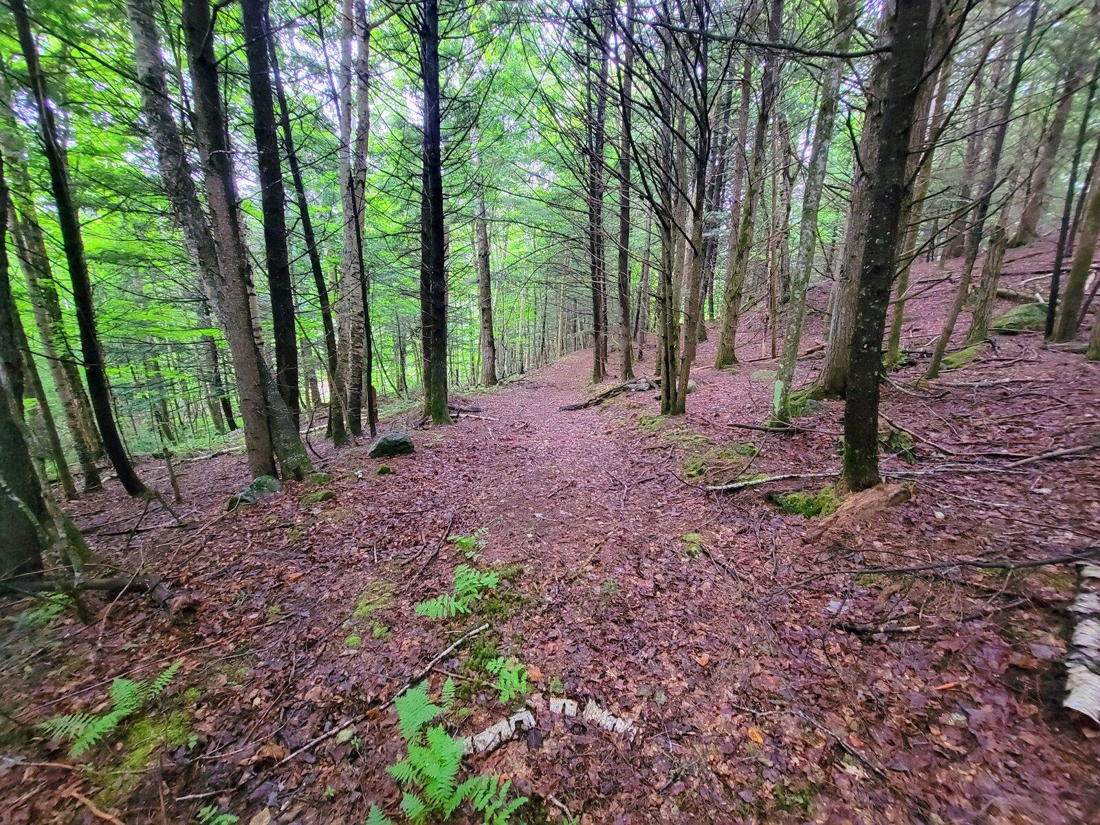 1068 Fairbanks Road Farmington, ME 04938 - Photo 50 of 56 48-Trails