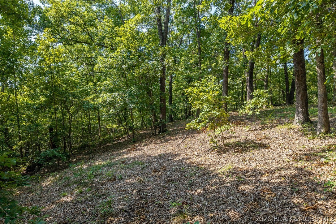 14560 Anchorage Road Versailles, MO 65084 - Photo 19 of 34 Gallery Image 19