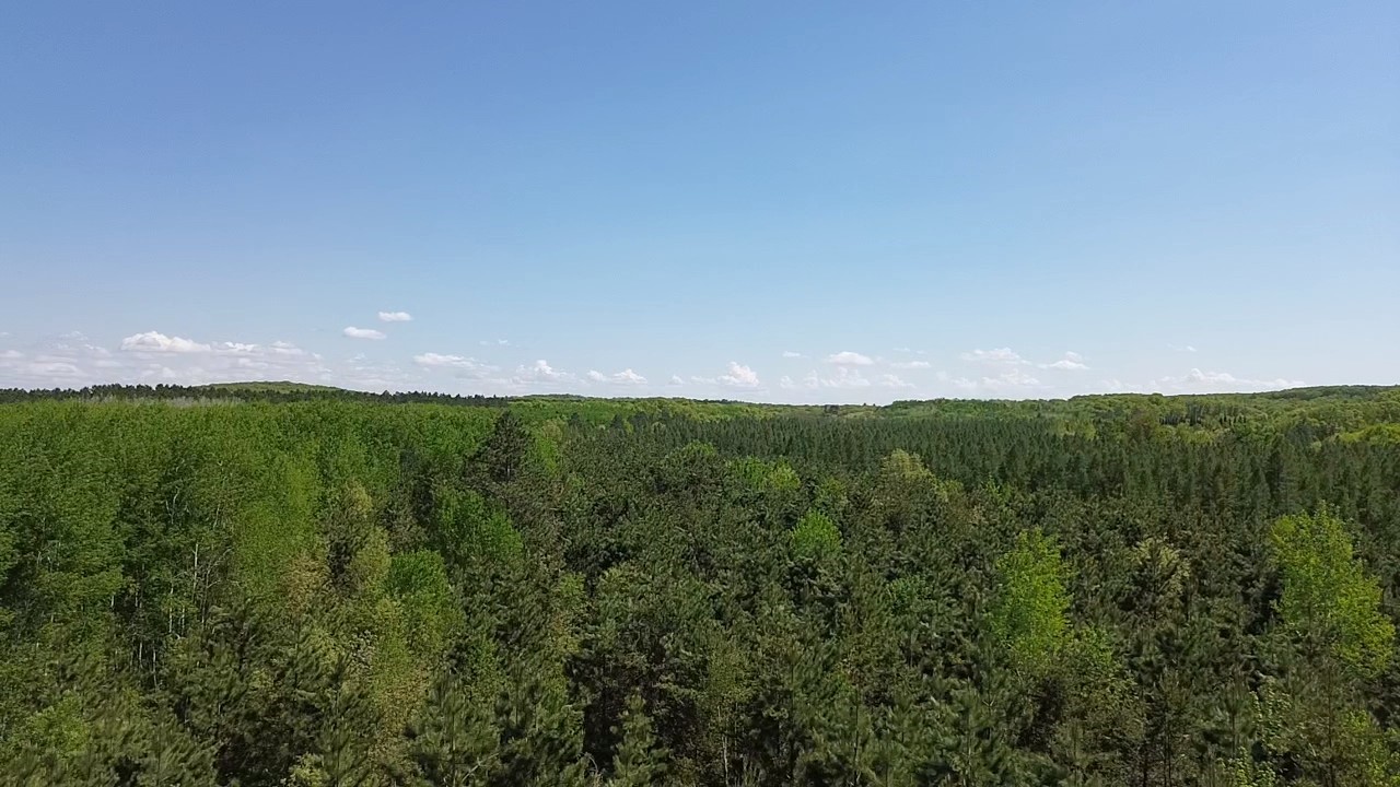 349 X 5th Avenue Shell Lake, WI 54871 - Photo 31 of 37