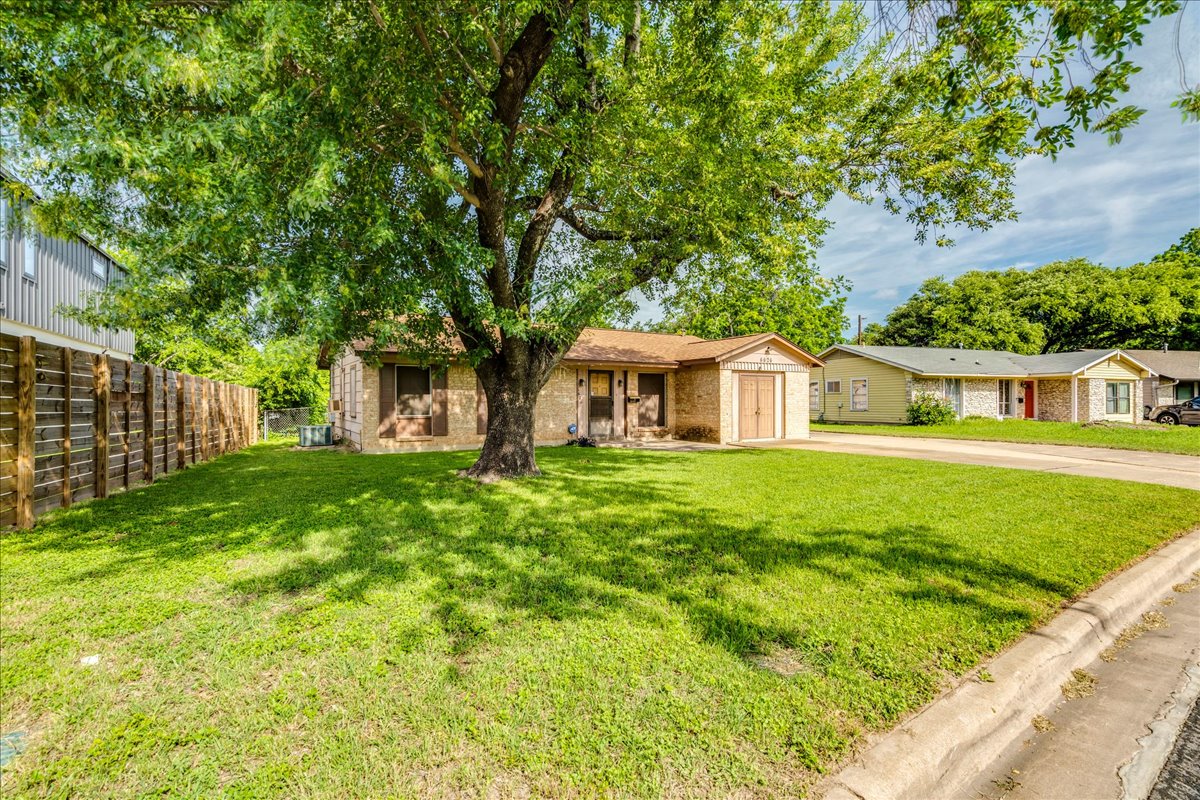 6626 Isabelle Drive Austin, TX 78752 - Photo 4 of 27 Expansive front yard featuring a large mature tree, a paved driveway
