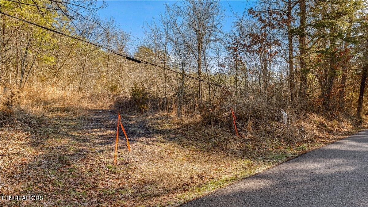 7820 Swaggerty Road Knoxville, TN 37920 - Photo 3 of 24 Gallery Image 3