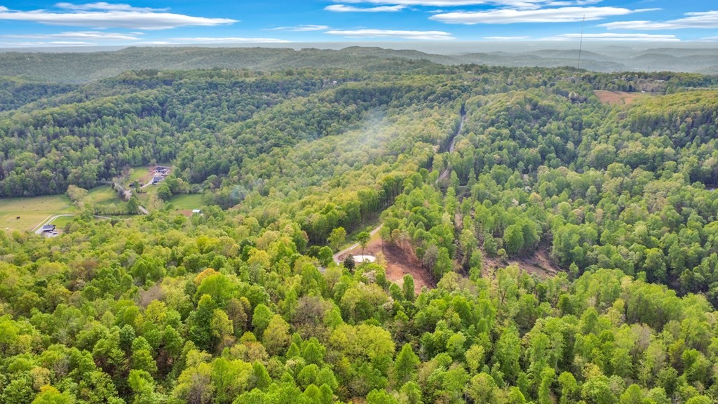 8150 Round Cove Road Sparta, TN 38583 - Photo 41 of 45 Gallery Image 41