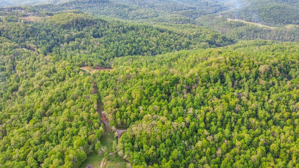 8150 Round Cove Road Sparta, TN 38583 - Photo 42 of 45 Gallery Image 42