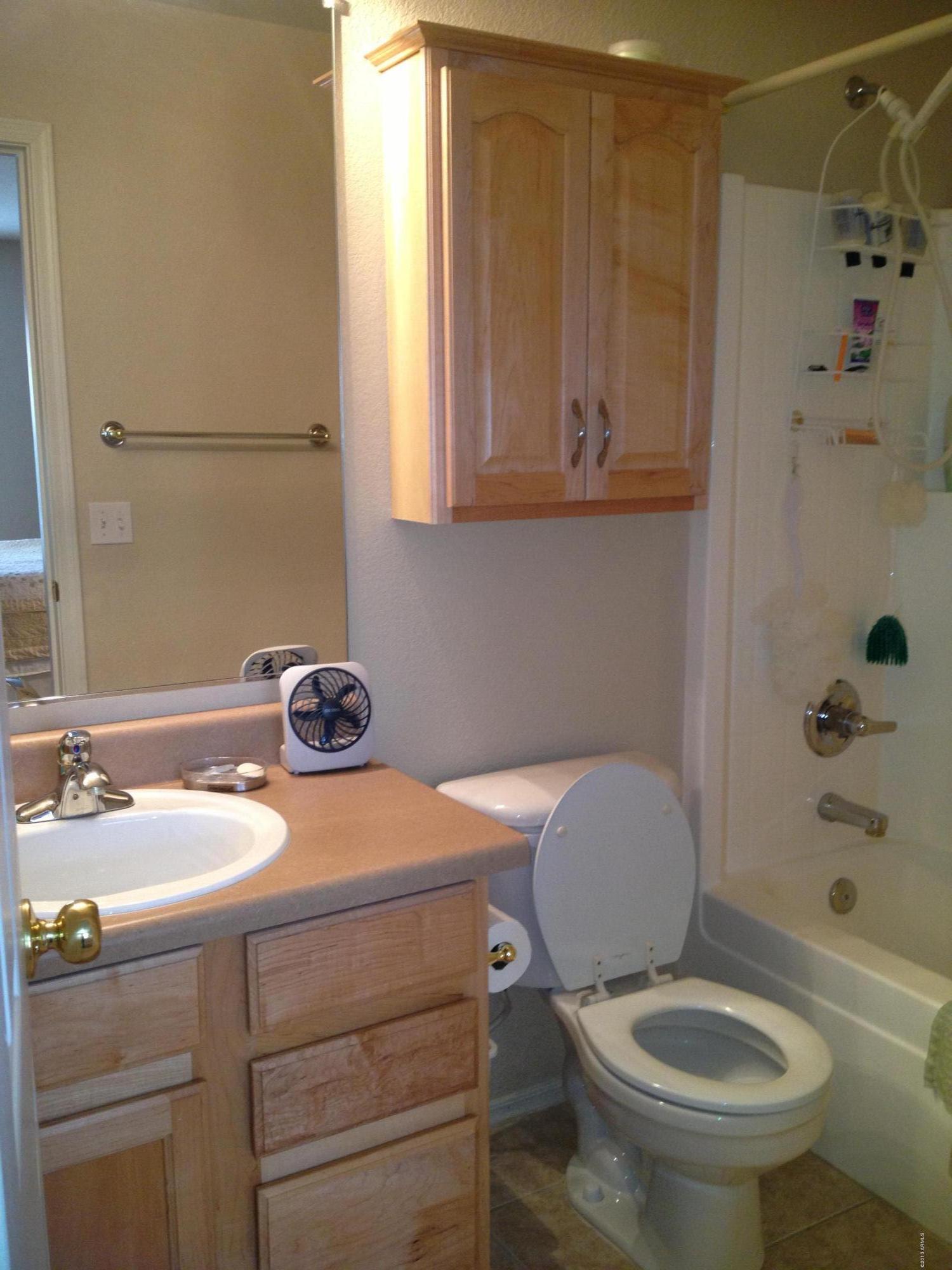 1013 East Pedro Road Phoenix, AZ 85042 - Photo 11 of 30 Master Bathroom
