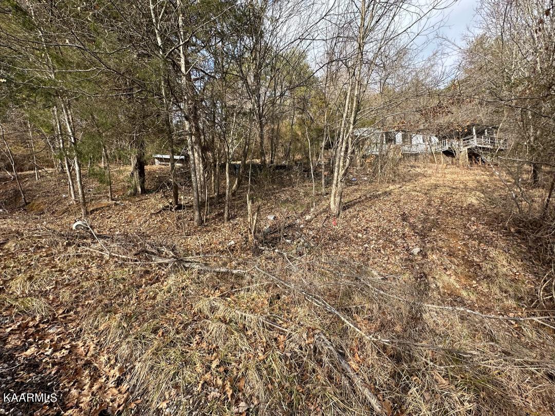 1727 Smith School Road Kodak, TN 37764 - Photo 7 of 8 thumbnail (14)