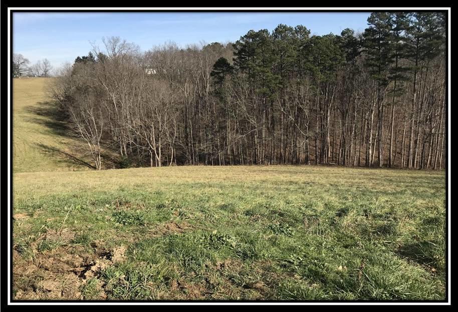 1848 Orpheus Road Thurman, OH 45685 - Photo 11 of 22