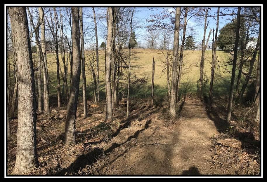 1848 Orpheus Road Thurman, OH 45685 - Photo 12 of 22