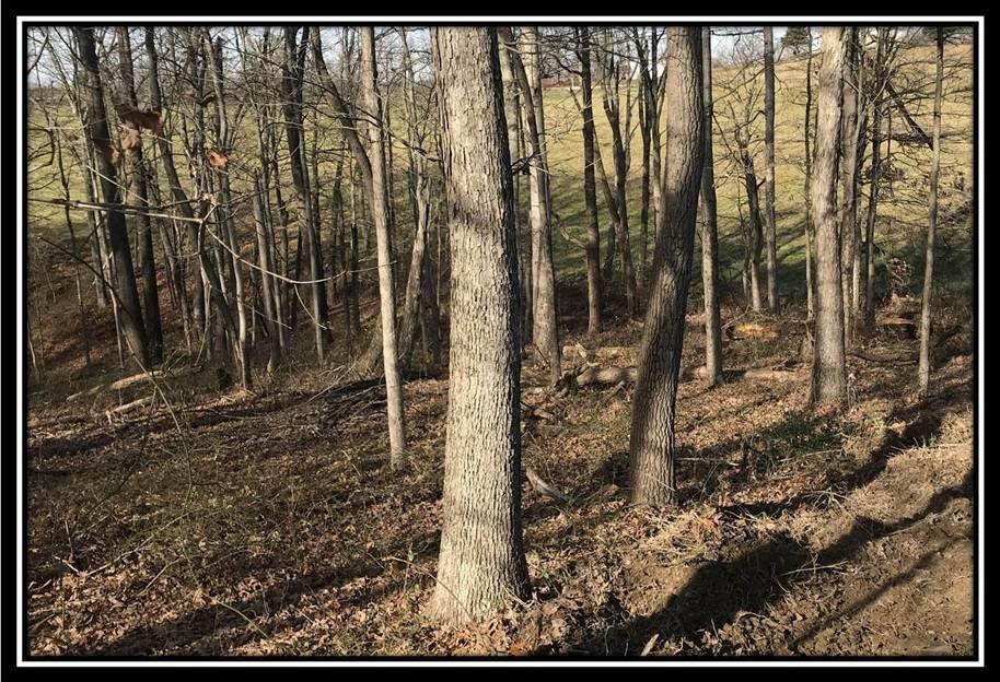1848 Orpheus Road Thurman, OH 45685 - Photo 15 of 22