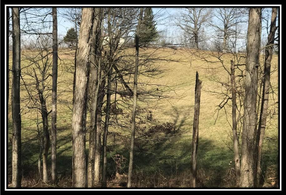 1848 Orpheus Road Thurman, OH 45685 - Photo 6 of 22