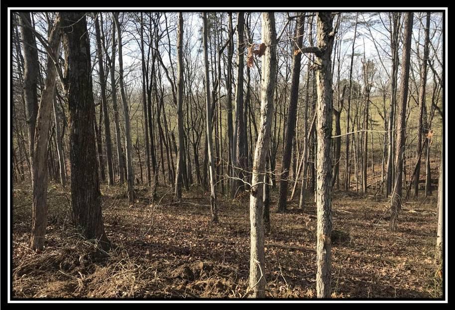 1848 Orpheus Road Thurman, OH 45685 - Photo 10 of 22